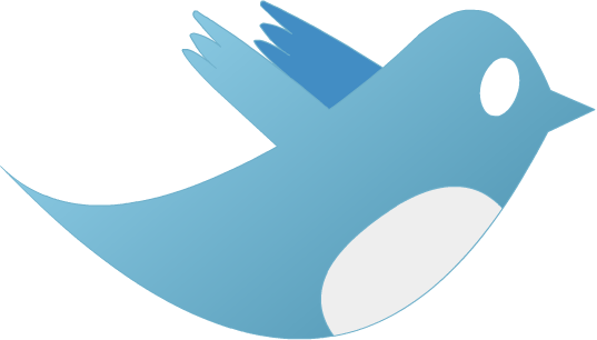 How To Start Twitter Marketing Campaign From Scratch
