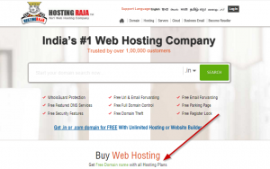 Hosting Raja – The Best Web Host for Indian websites